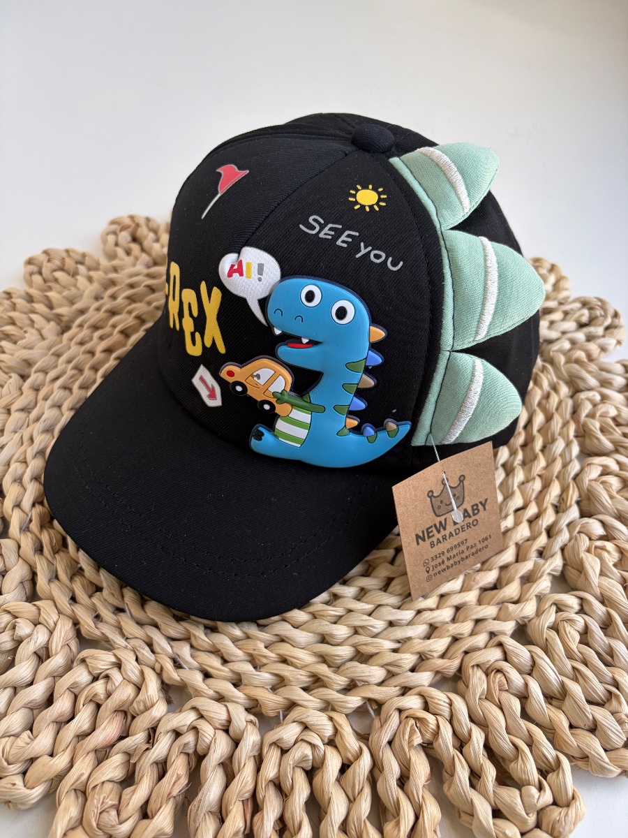 Gorra negra T-Rex