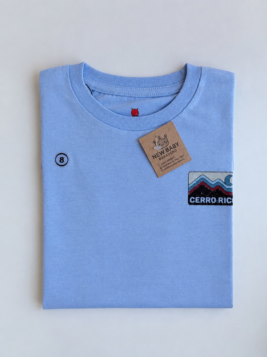 Remera celeste Cerro Rico