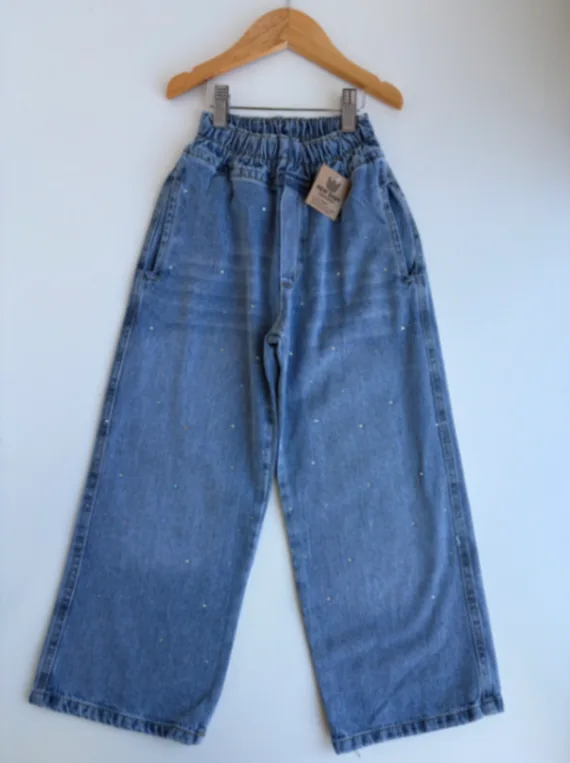 Wide leg celeste strass